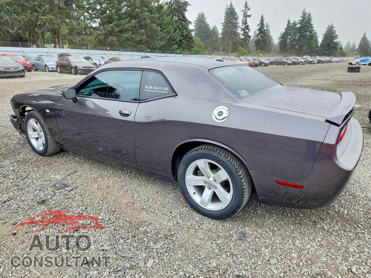 DODGE CHALLENGER 2013 - 2C3CDYAG3DH723780