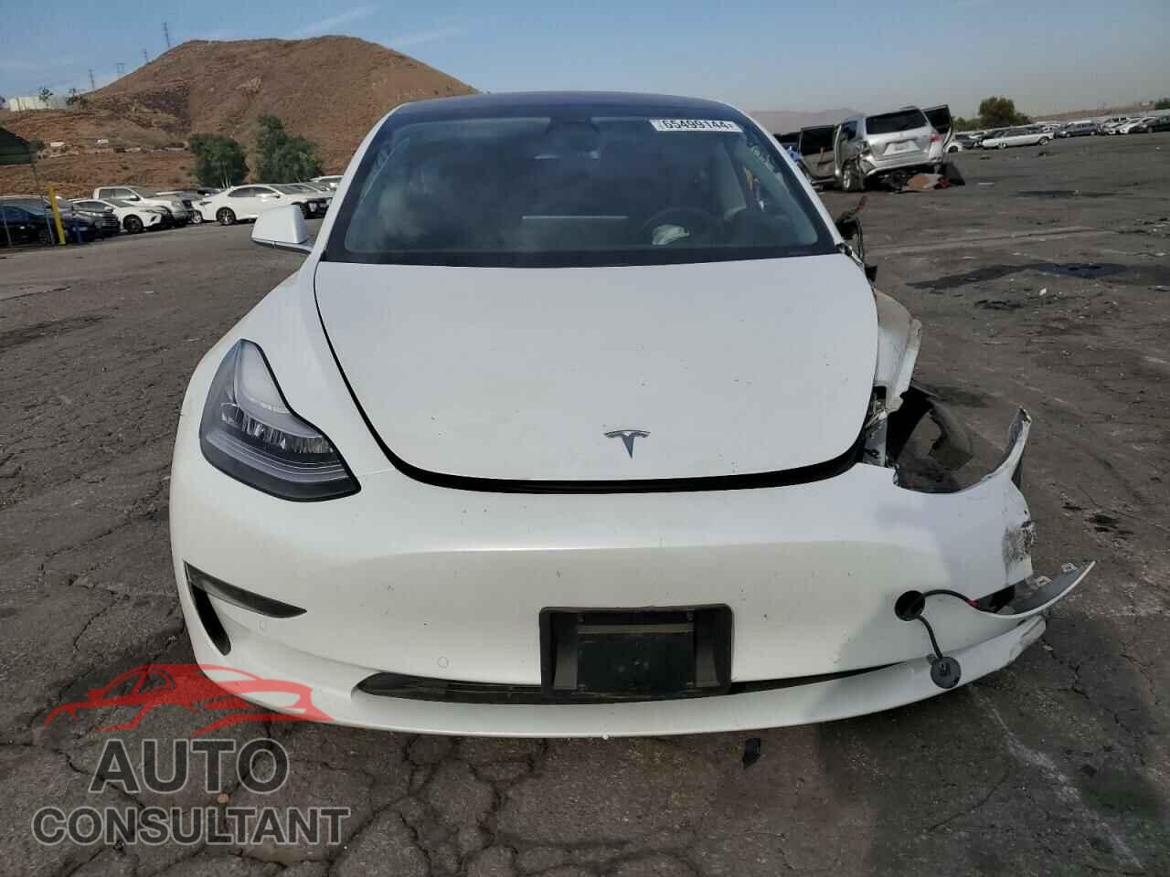 TESLA MODEL 3 2019 - 5YJ3E1EB5KF487070
