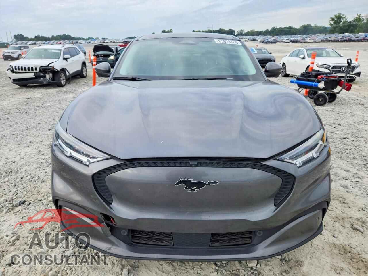 FORD MUSTANG 2021 - 3FMTK1RM8MMA29151