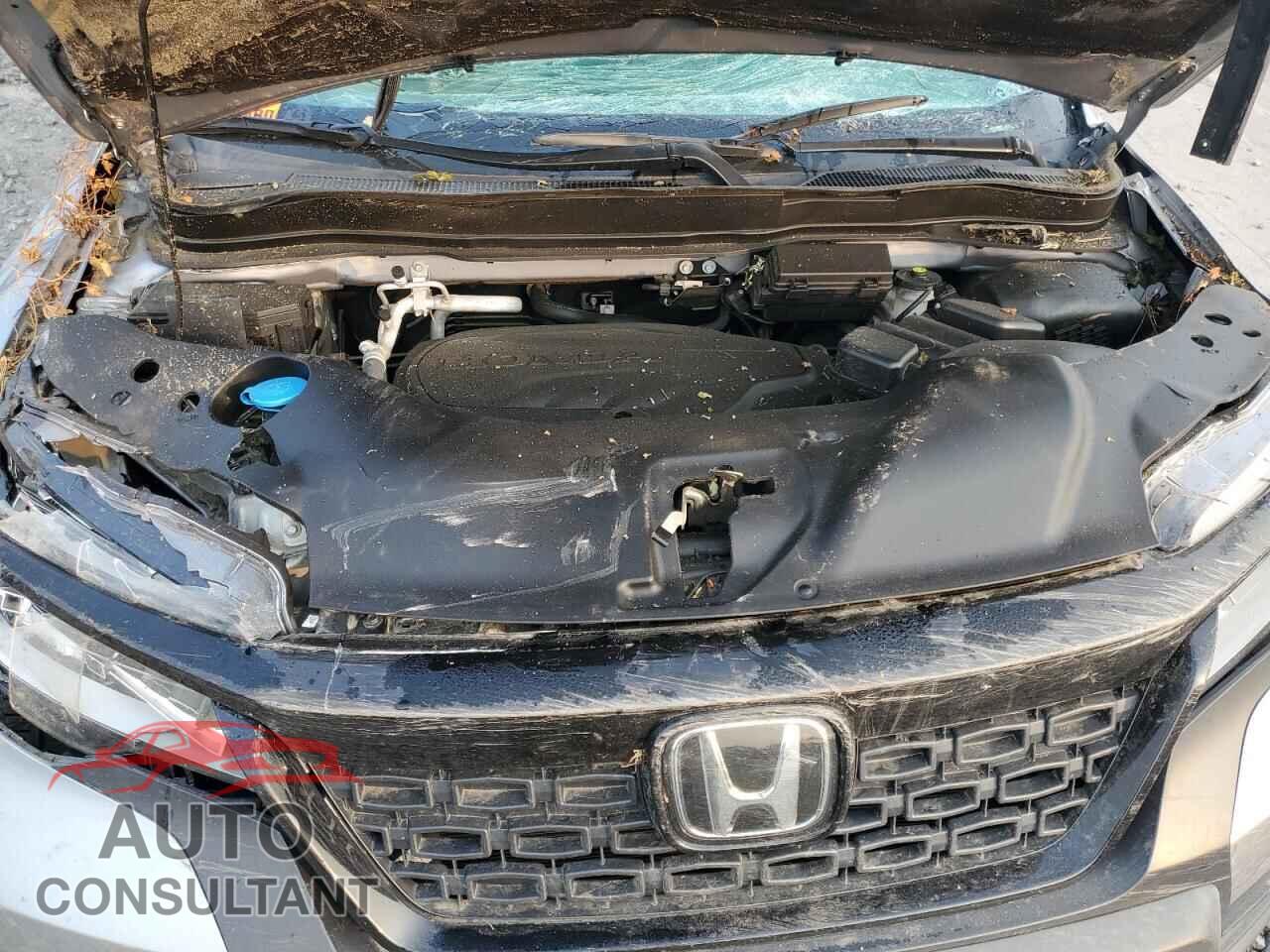 HONDA PASSPORT 2021 - 5FNYF8H97MB036228