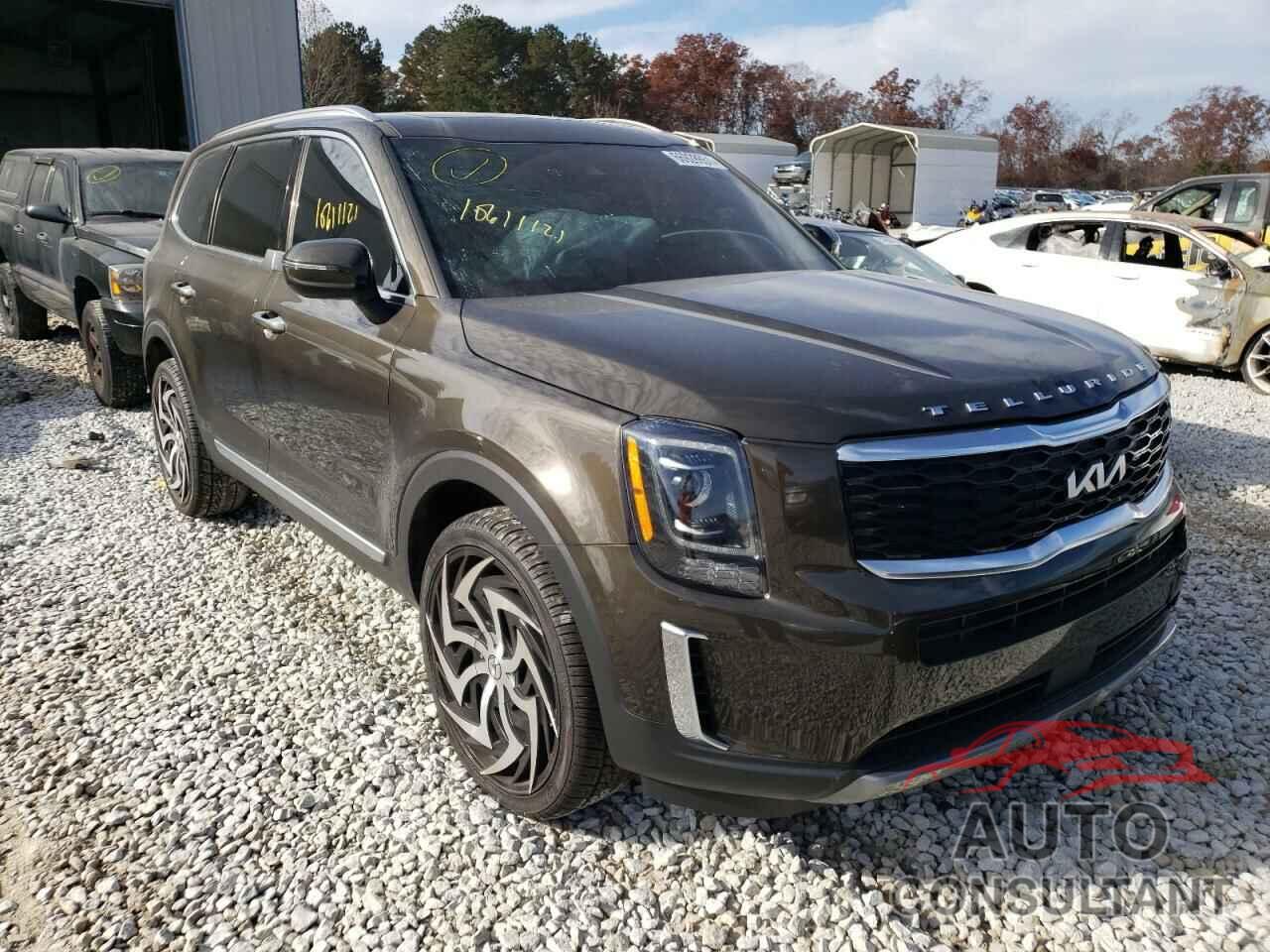 KIA TELLURIDE 2022 - 5XYP64HC9NG223299