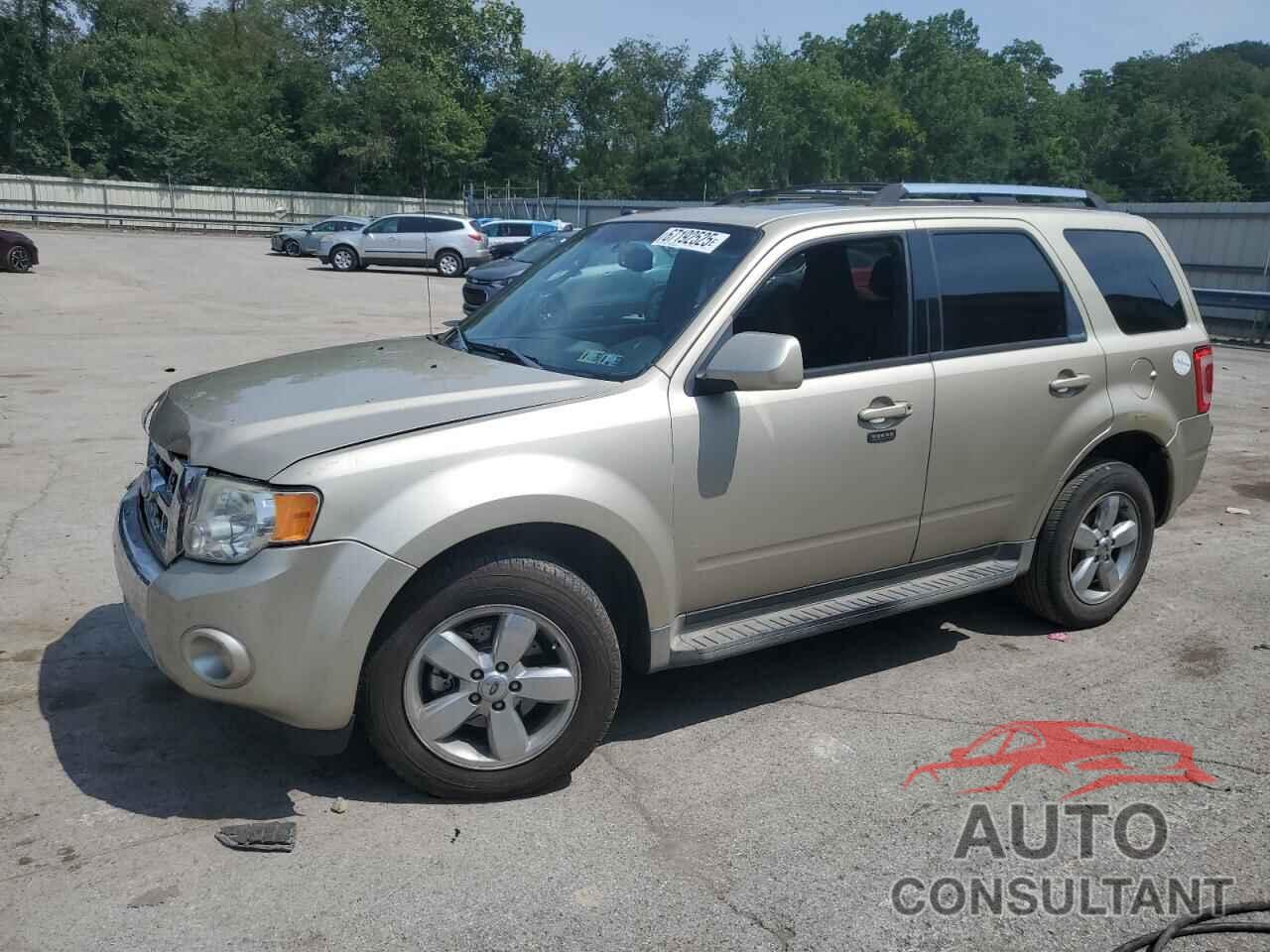 FORD ESCAPE 2011 - 1FMCU9EG3BKA91537