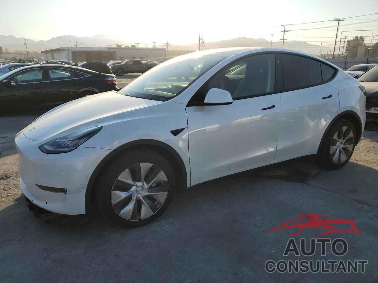 TESLA MODEL Y 2020 - 5YJYGDEE5LF054345