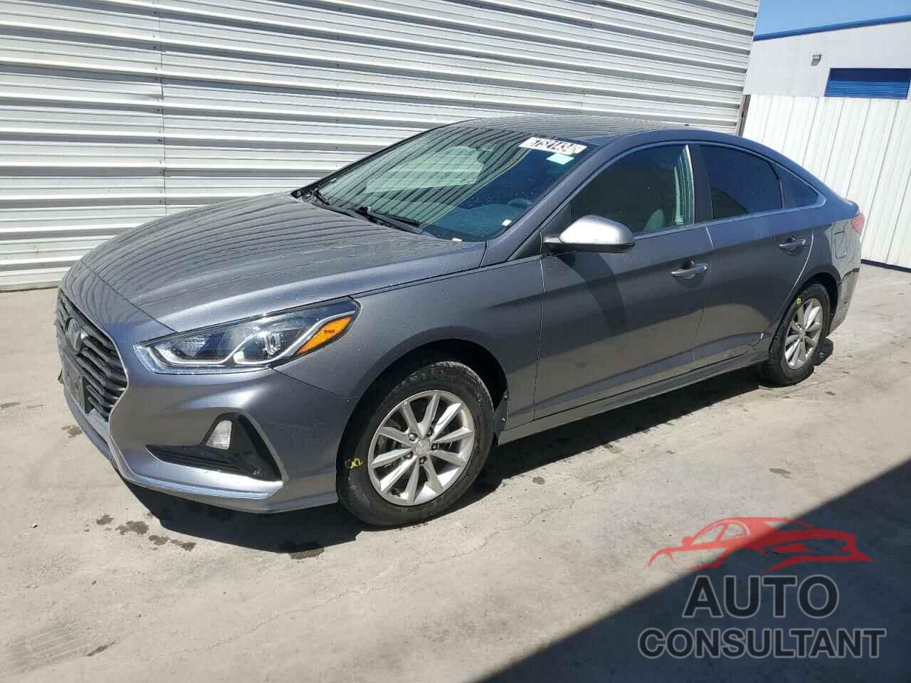 HYUNDAI SONATA 2019 - 5NPE24AF7KH778277