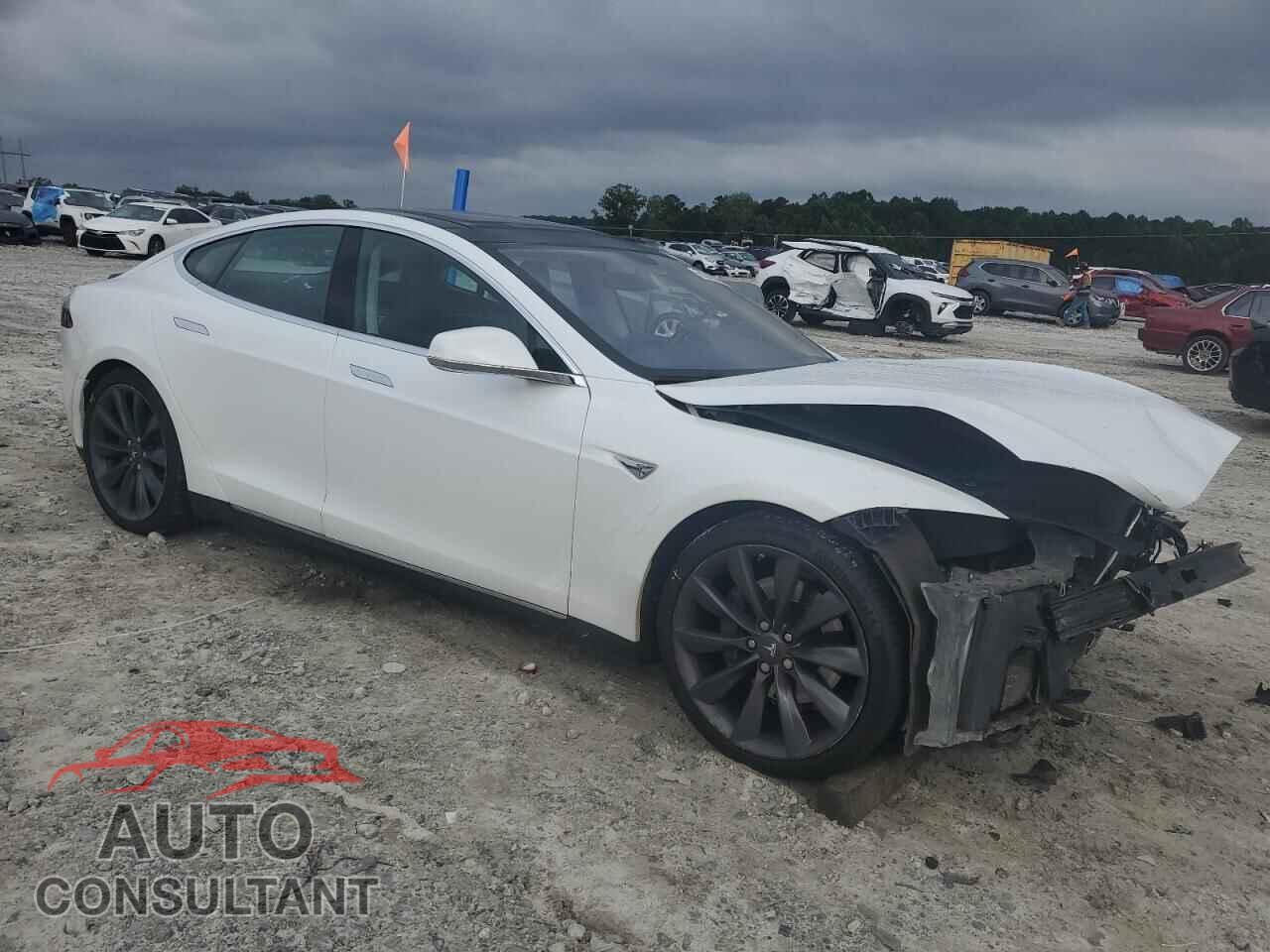 TESLA MODEL S 2013 - 5YJSA1DPXDFP12719
