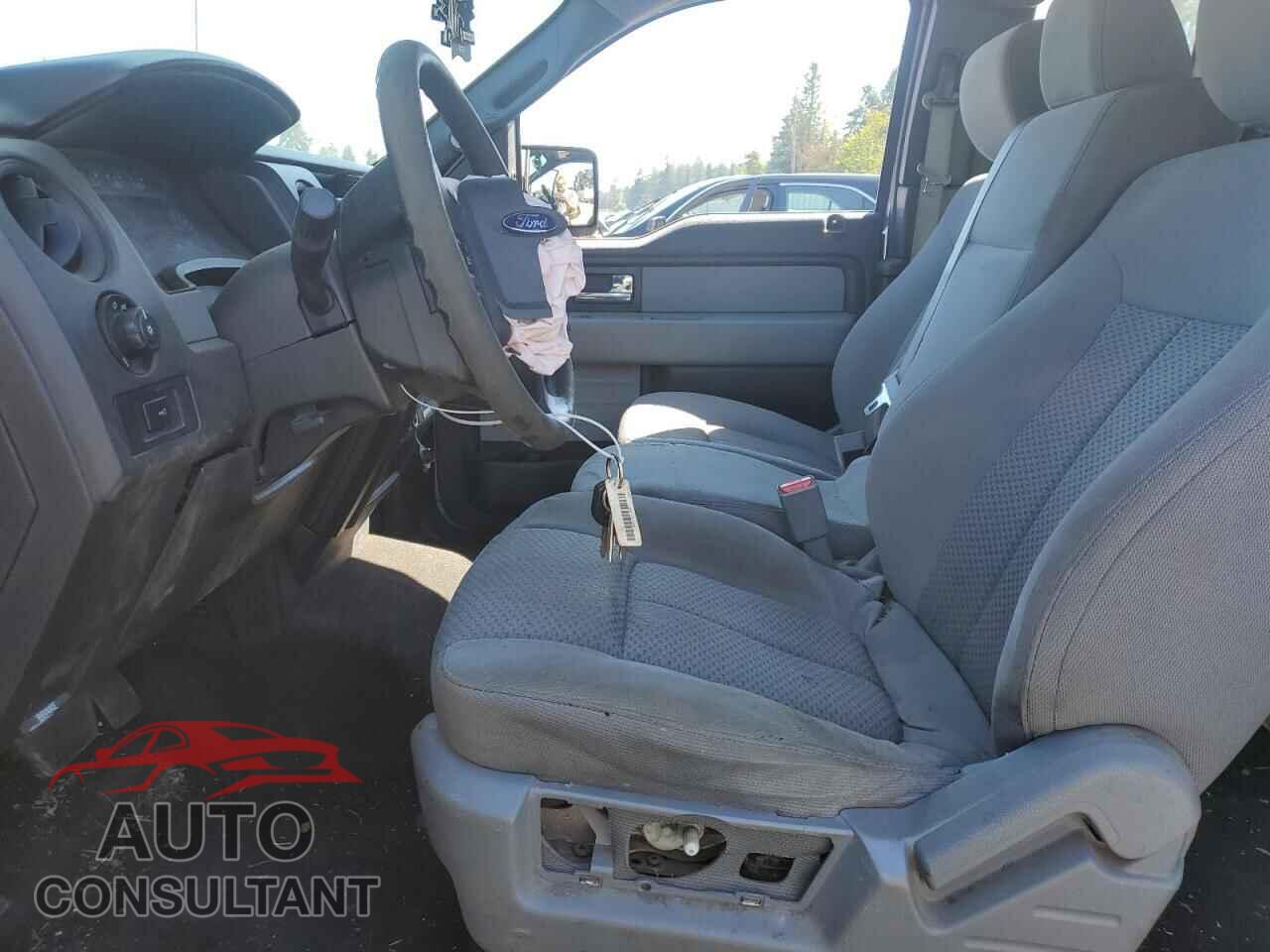 FORD F-150 2013 - 1FTFX1EF8DFD69782