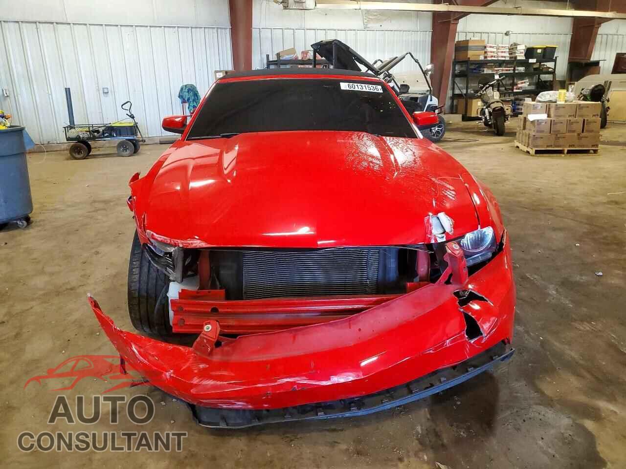 FORD MUSTANG 2011 - 1ZVBP8FF6B5117048