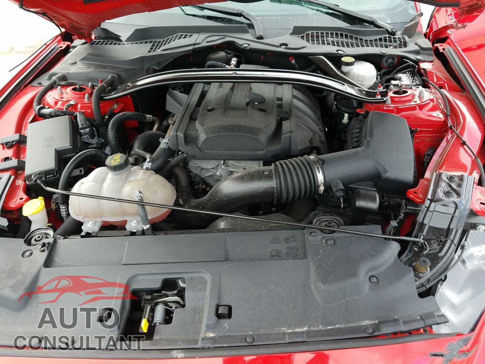 FORD MUSTANG 2019 - 1FA6P8TH2K5142027