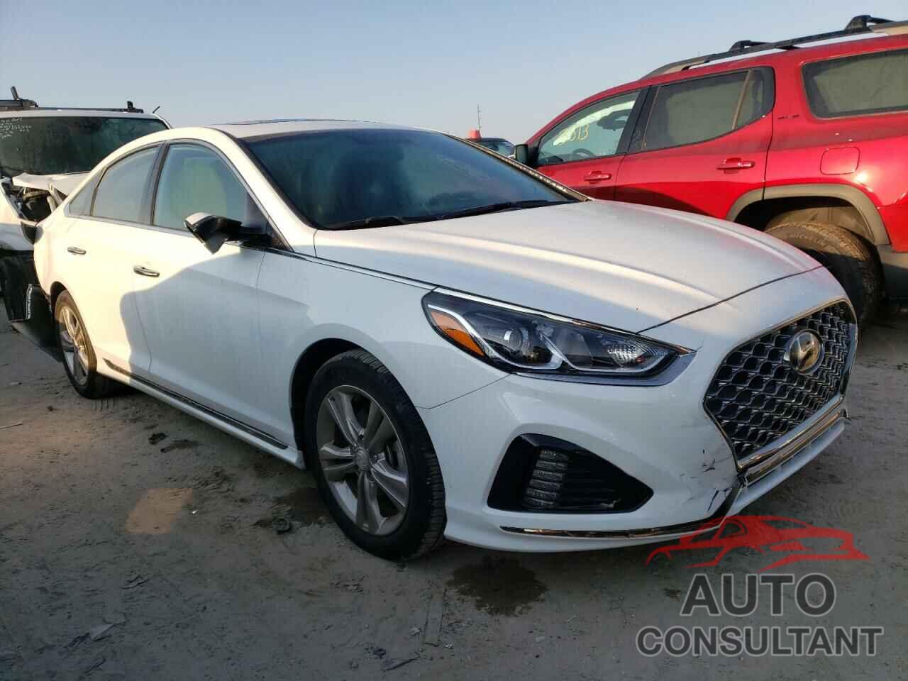 HYUNDAI SONATA 2019 - 5NPE34AF1KH772777