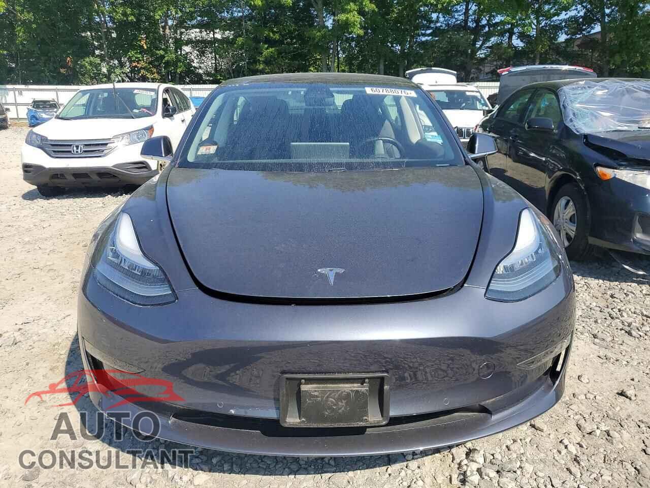 TESLA MODEL 3 2019 - 5YJ3E1EAXKF298521