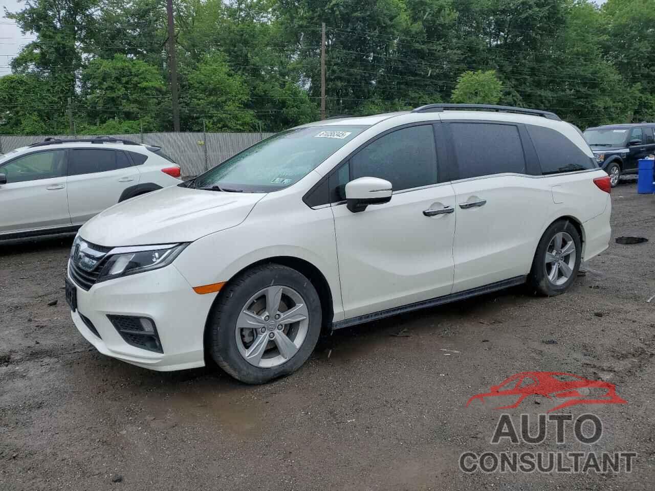 HONDA All Models 2019 - 5FNRL6H72KB119904