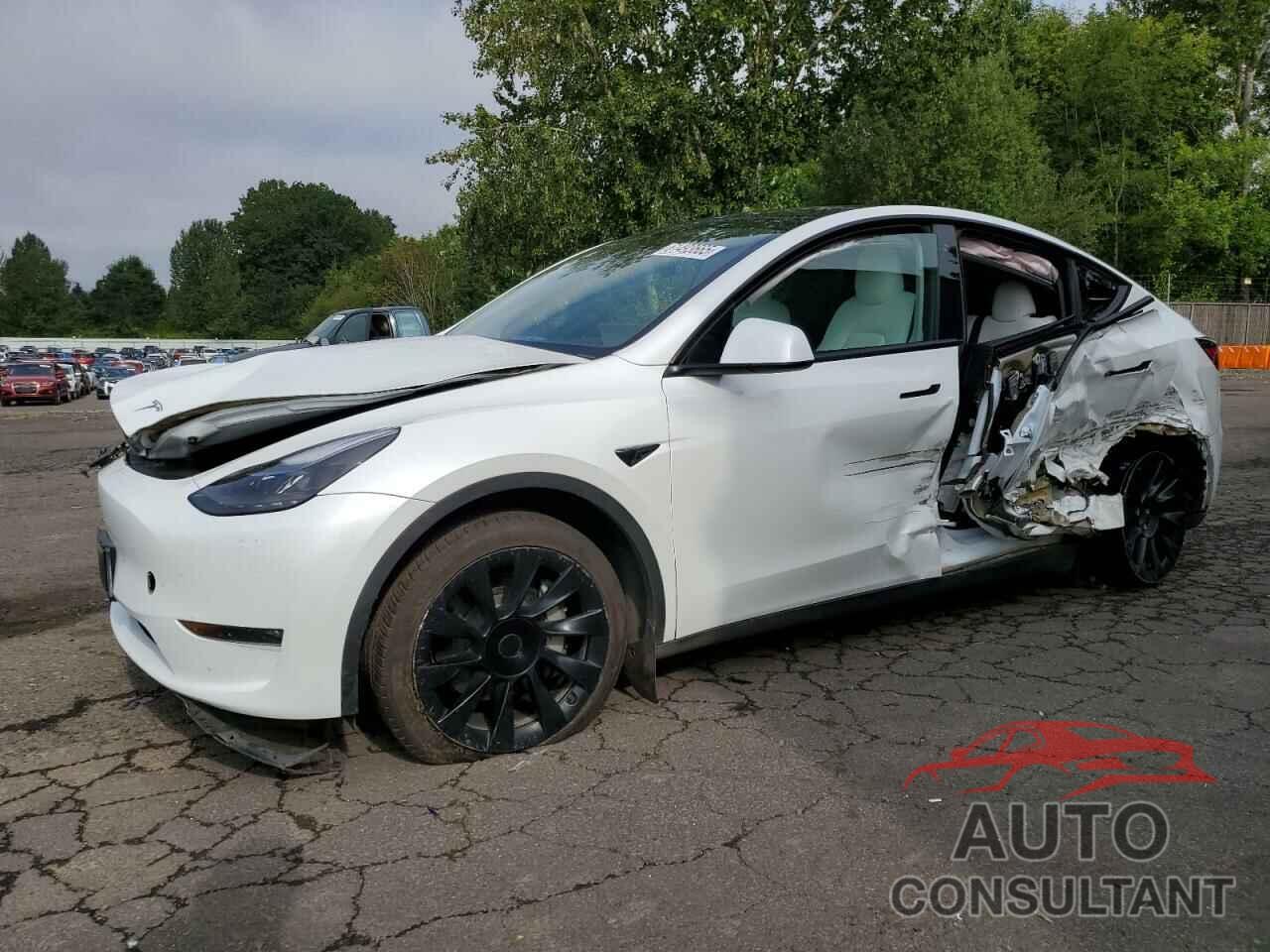 TESLA MODEL Y 2023 - 7SAYGDEE7PF627884