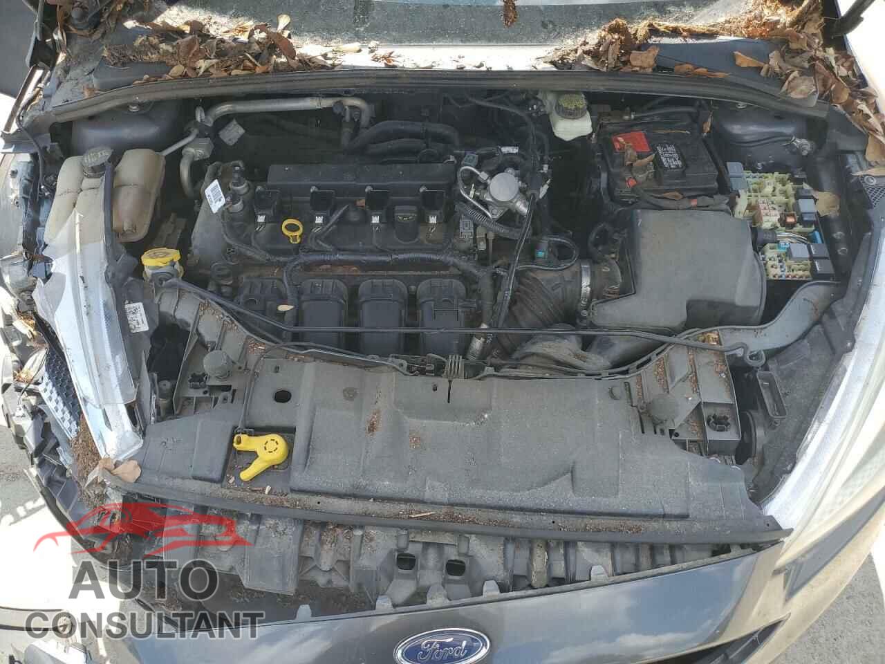 FORD FOCUS 2017 - 1FADP3F28HL225242