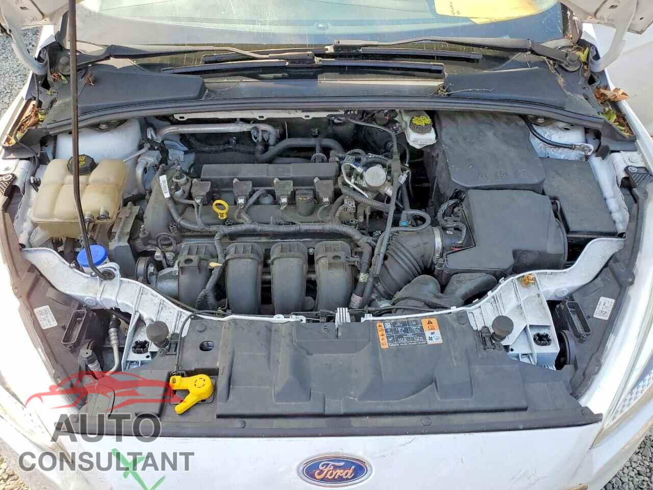 FORD FOCUS 2018 - 1FADP3F28JL280604