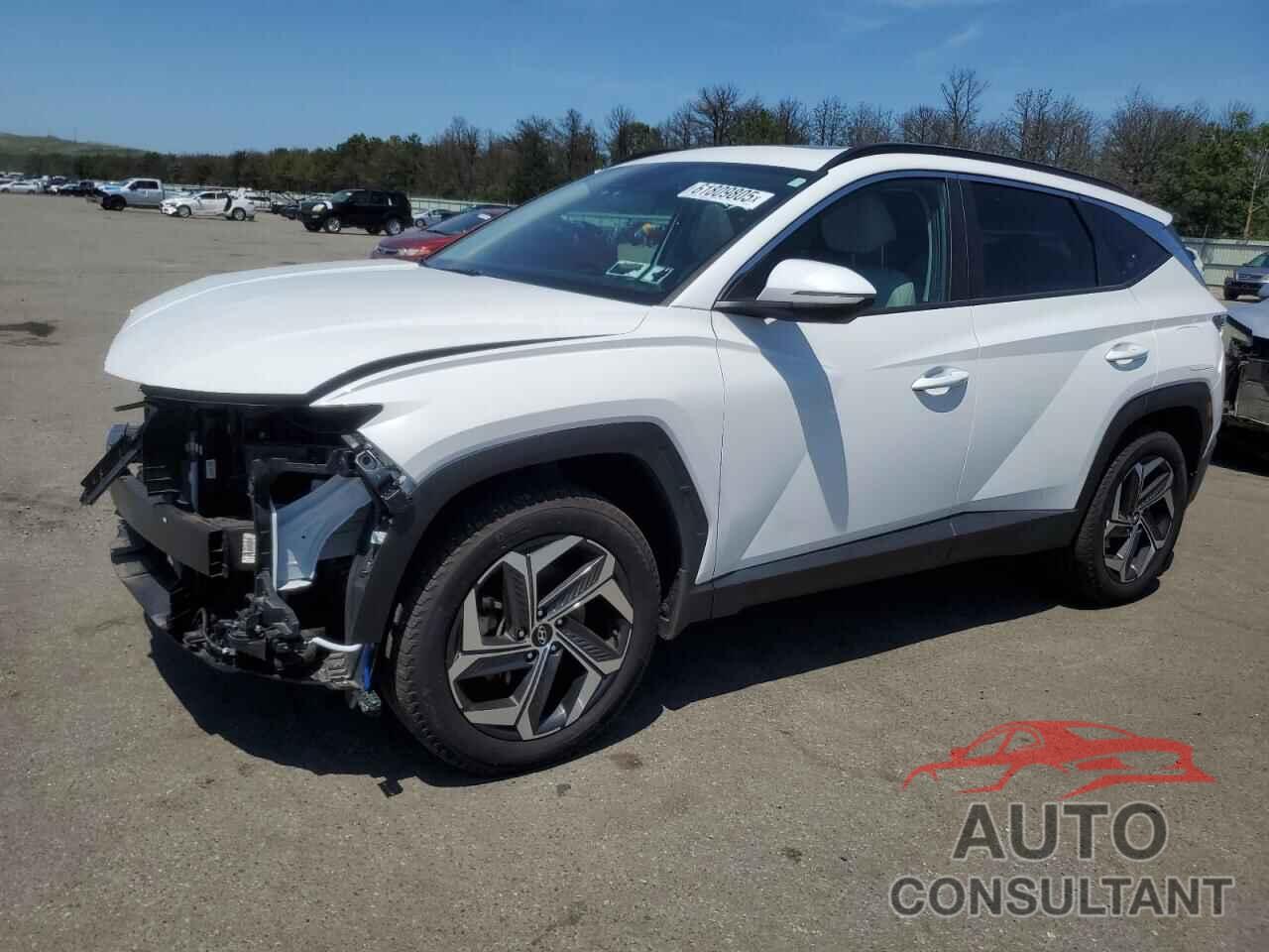 HYUNDAI TUCSON 2023 - 5NMJFCAE7PH259027