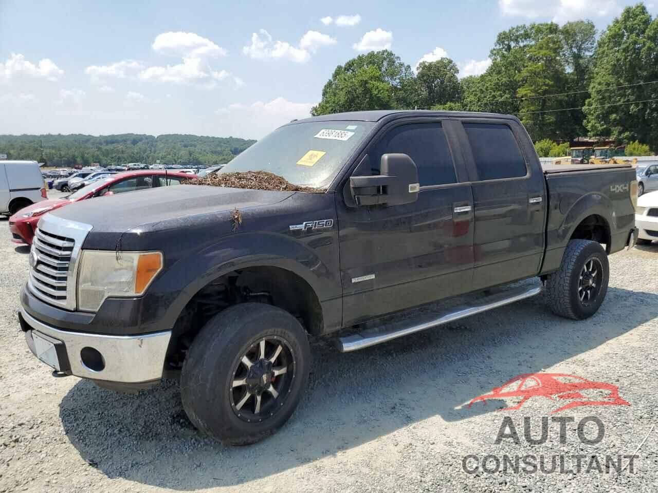 FORD F-150 2011 - 1FTFW1ET0BFC03567