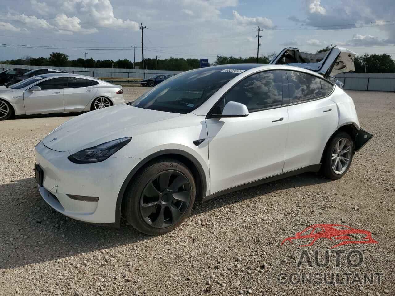 TESLA MODEL Y 2020 - 5YJYGDEE5LF032698