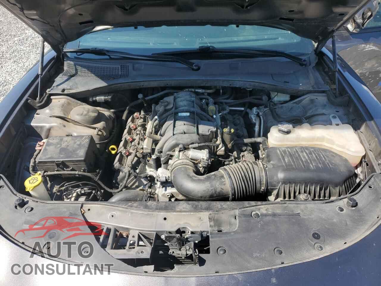 DODGE CHARGER 2019 - 2C3CDXAT3KH599031