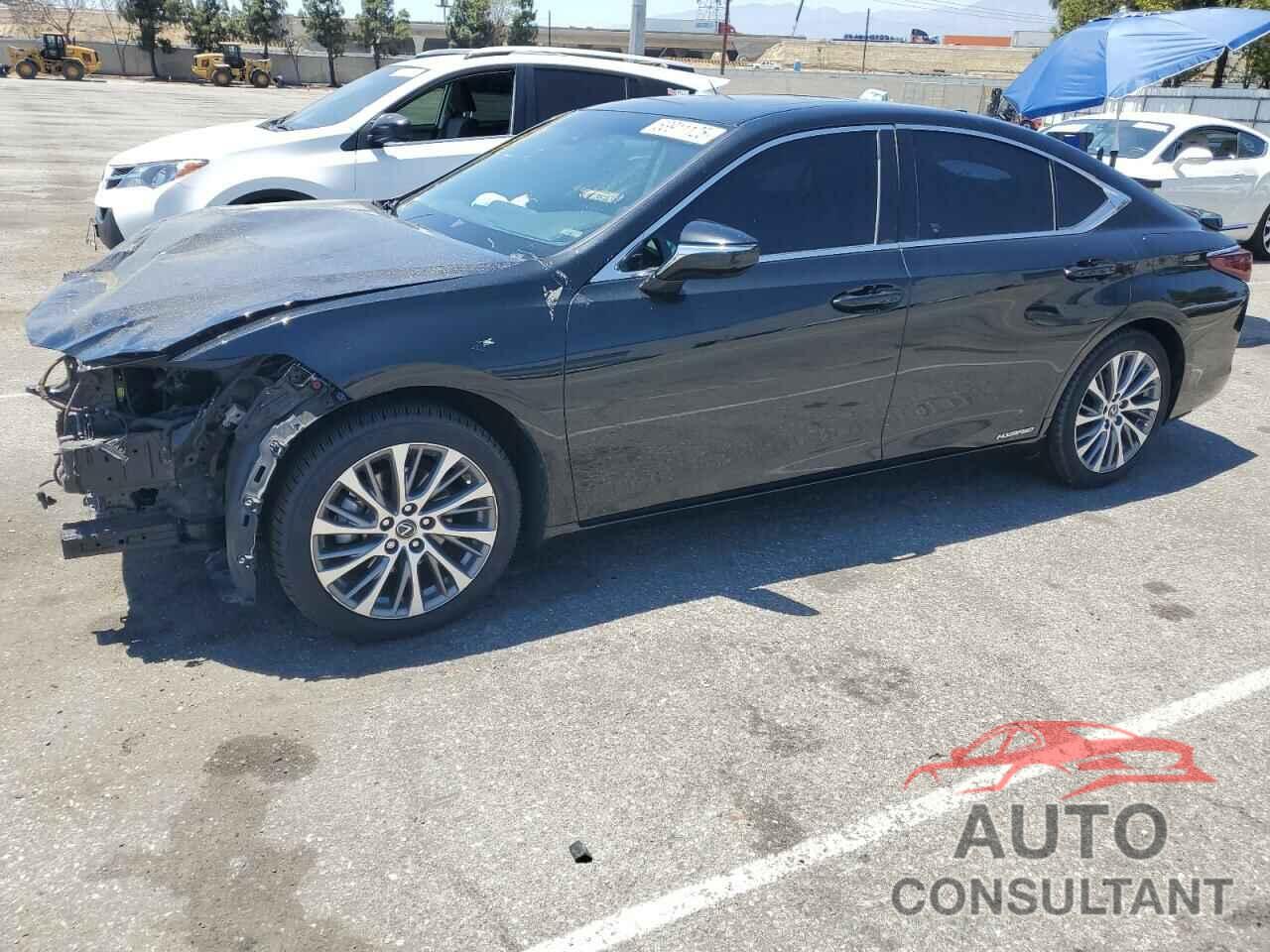 LEXUS ES300 2021 - 58ADA1C1XMU001572