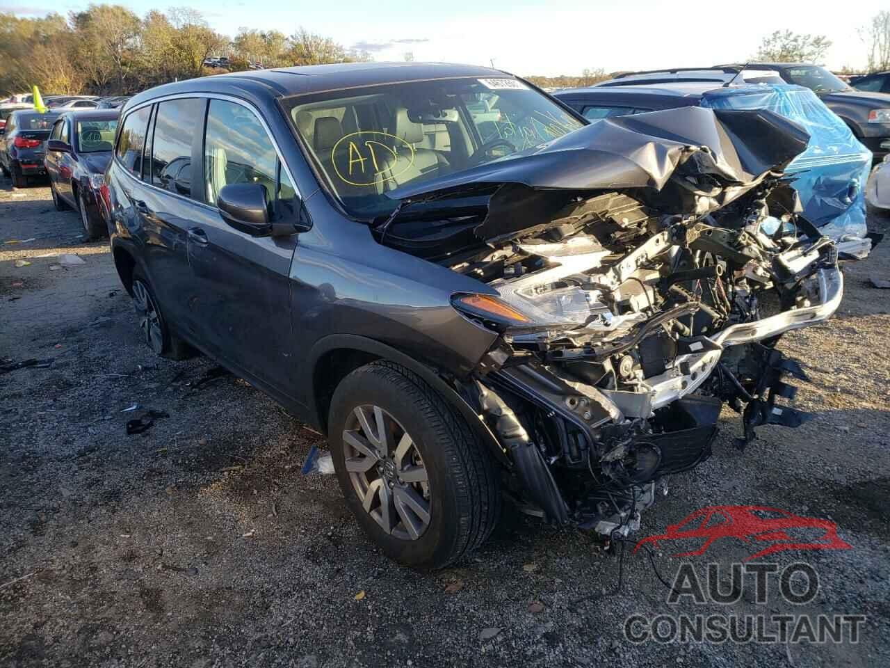 HONDA PILOT 2019 - 5FNYF6H50KB073152