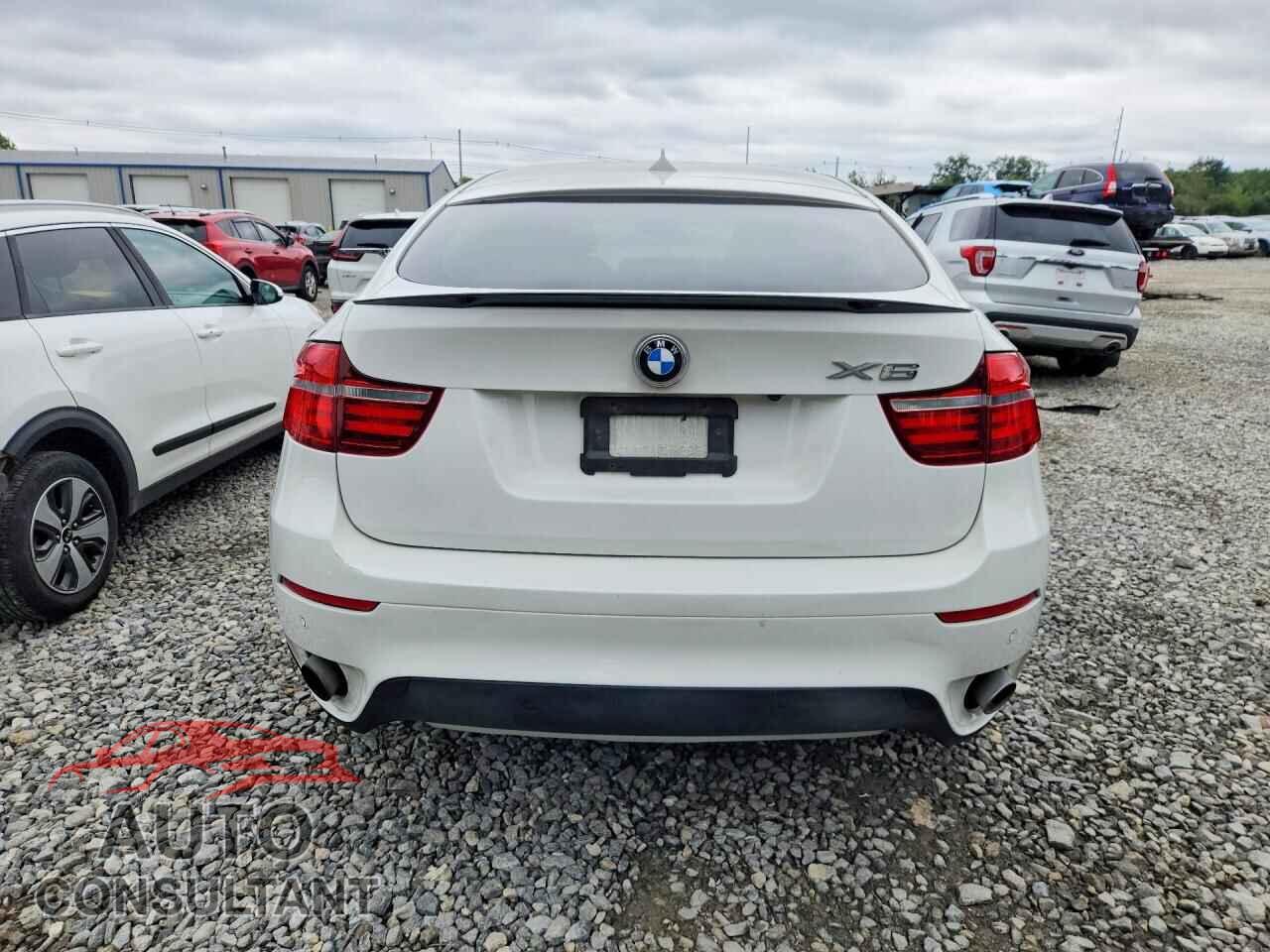BMW X6 2014 - 5UXFG2C54E0C43361