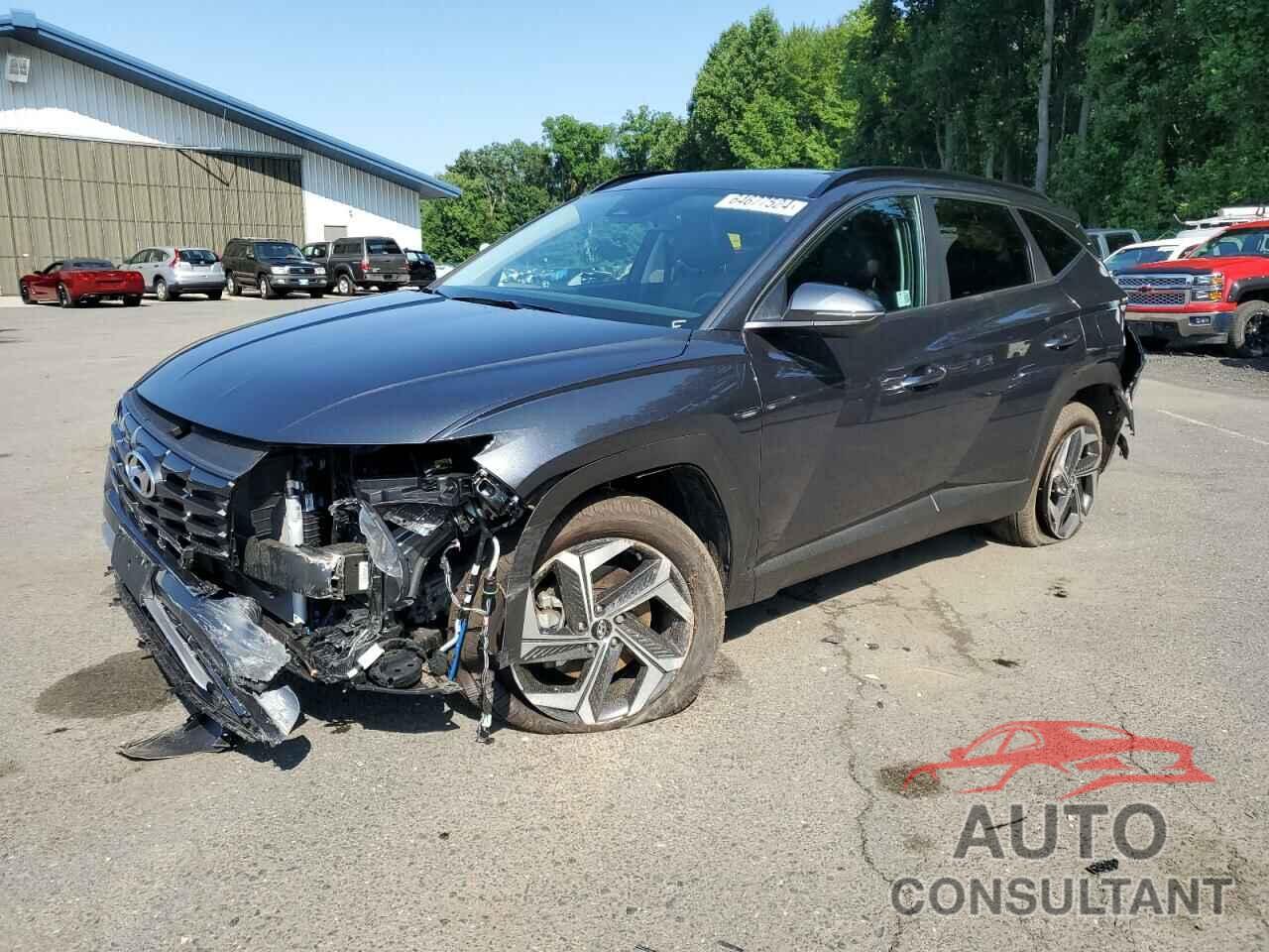 HYUNDAI TUCSON 2024 - 5NMJFCDEXRH365275