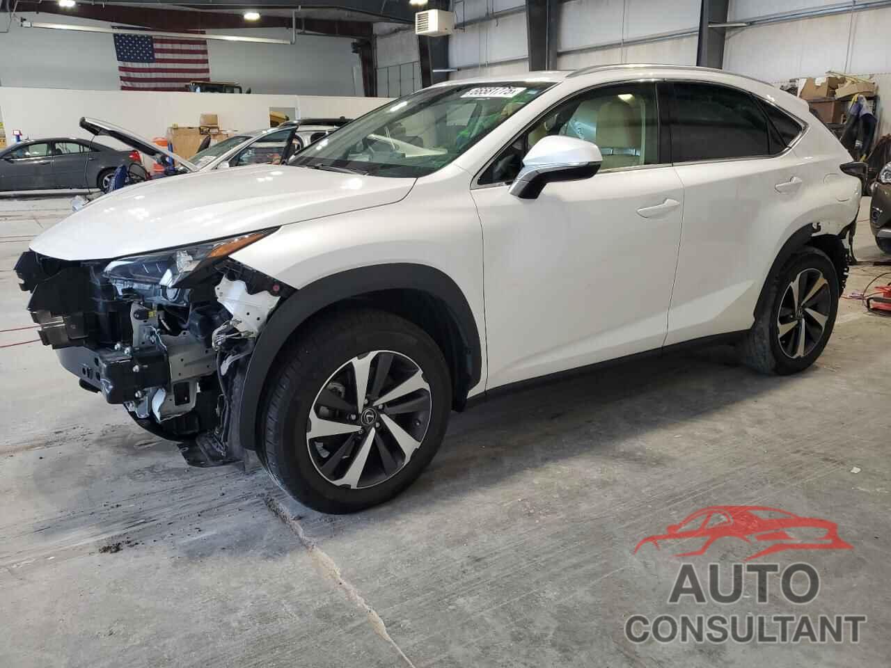 LEXUS NX 2019 - JTJBARBZ8K2181021