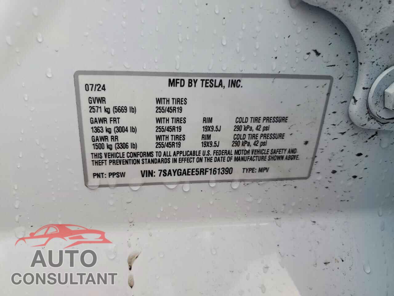 TESLA MODEL Y 2024 - 7SAYGAEE5RF161390