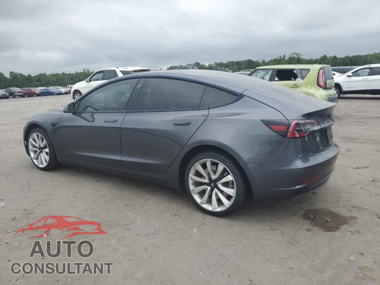 TESLA MODEL 3 2021 - 5YJ3E1EA7MF031310