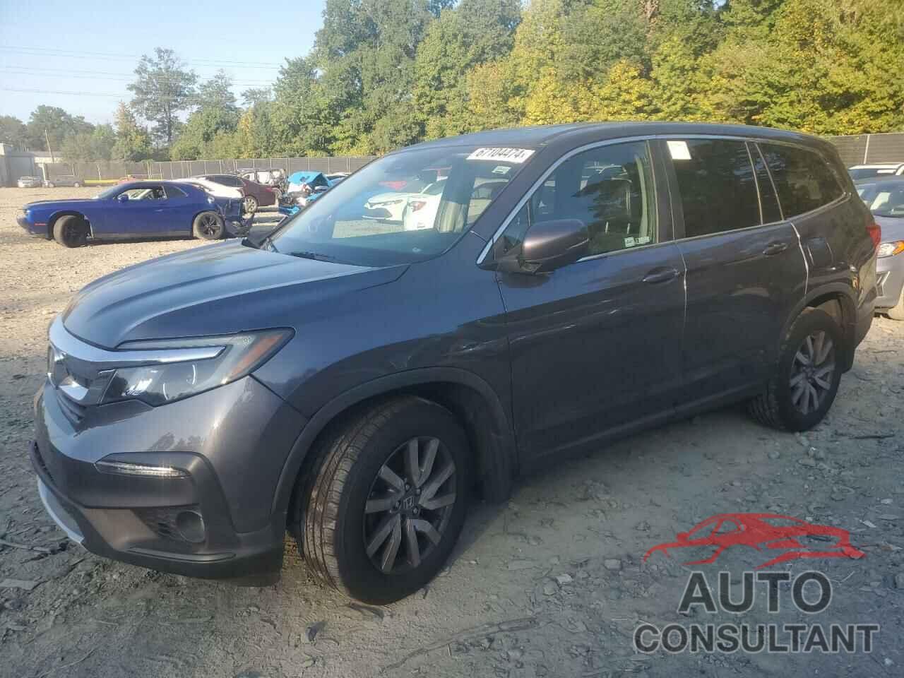 HONDA PILOT 2019 - 5FNYF6H5XKB041373