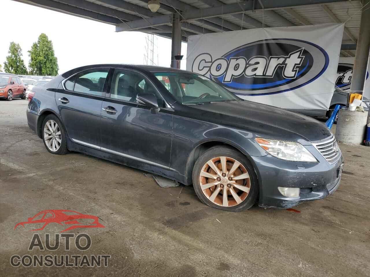 LEXUS LS460 2010 - JTHBL5EF7A5099400