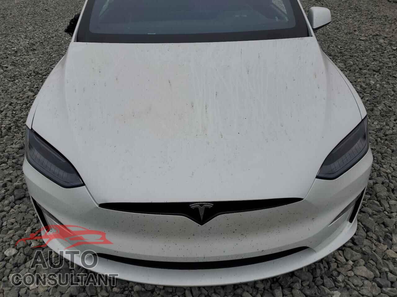 TESLA MODEL X 2024 - 7SAXCDE52RF445911