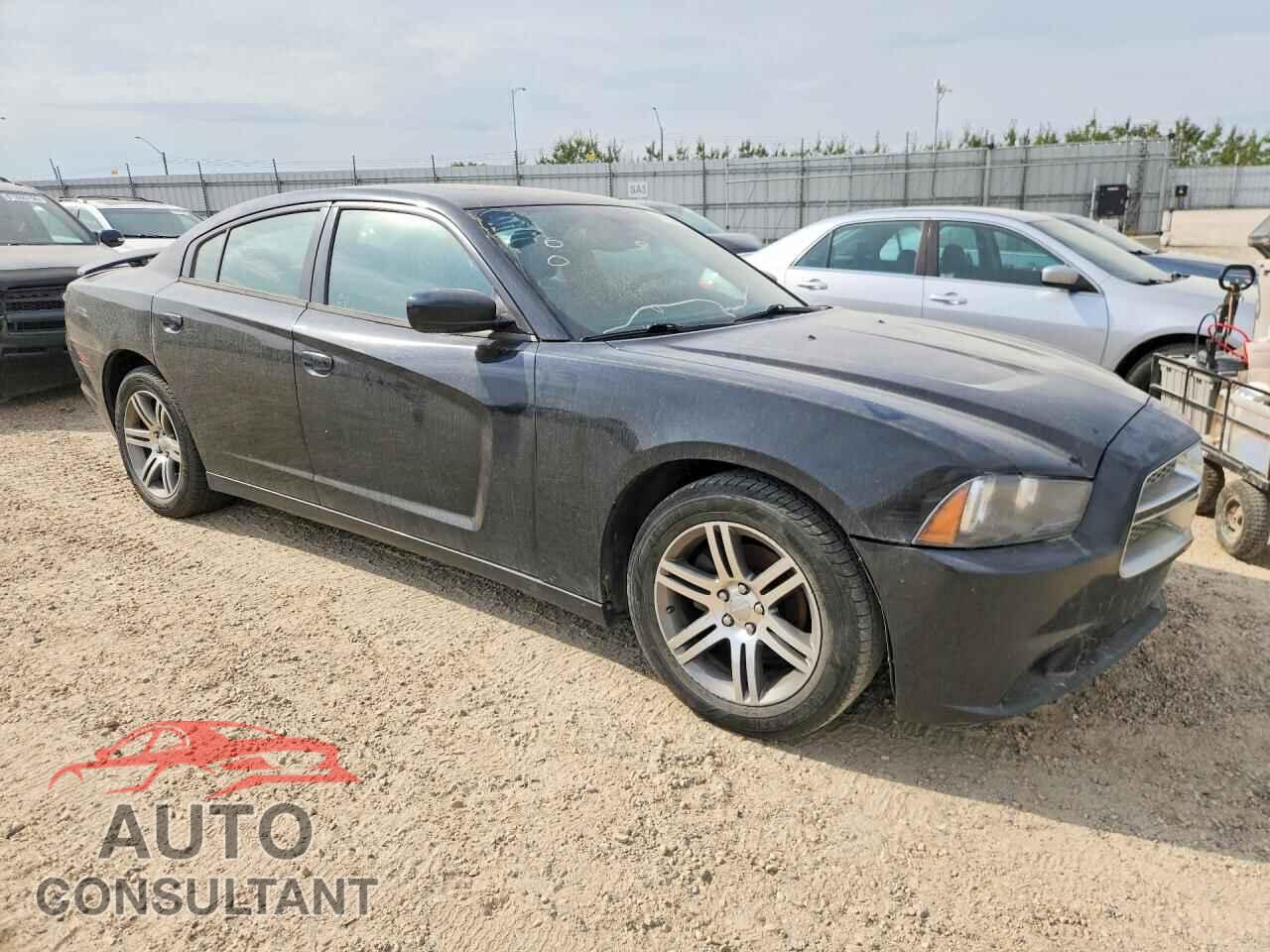 DODGE CHARGER 2014 - 2C3CDXHG0EH234366