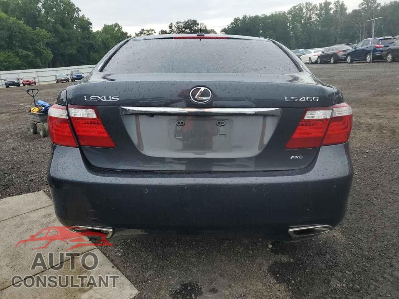 LEXUS LS460 2009 - JTHCL46F795002866