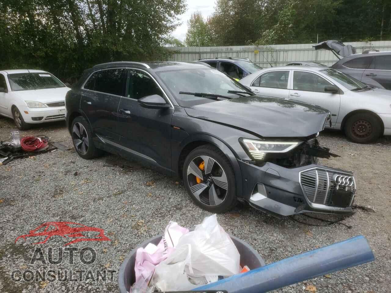 AUDI E-TRON 2019 - WA1VAAGE2KB006376