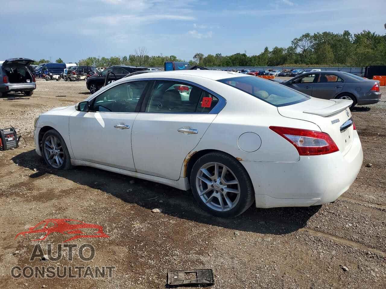 NISSAN MAXIMA 2011 - 1N4AA5AP3BC859665