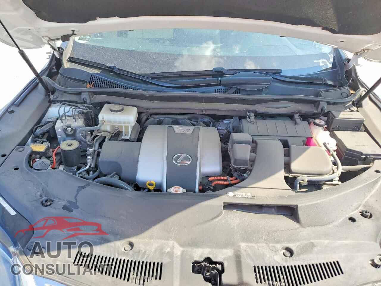 LEXUS RX450 2022 - 2T2HGMDAXNC090436