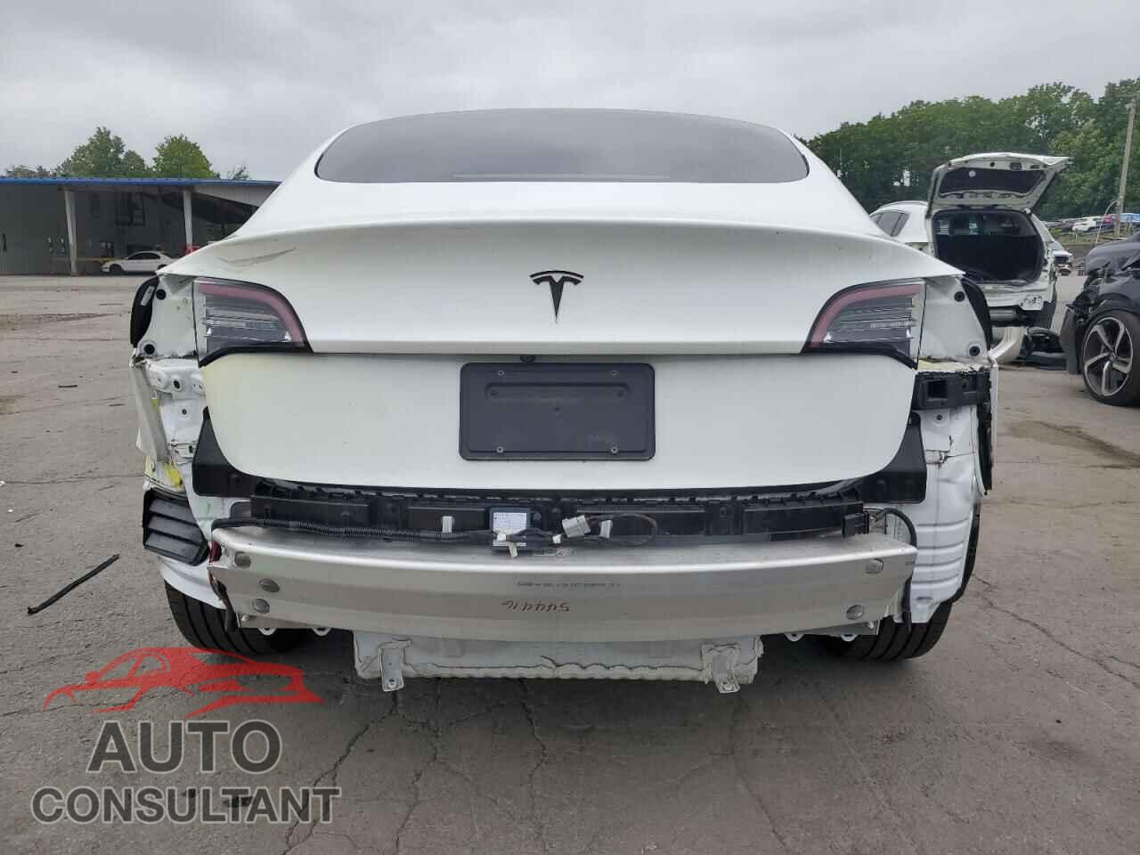 TESLA MODEL 3 2021 - 5YJ3E1EA1MF969013