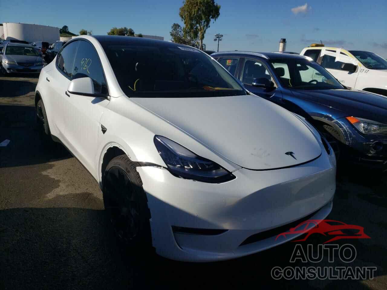 TESLA MODEL Y 2021 - 5YJYGDEE7MF217529