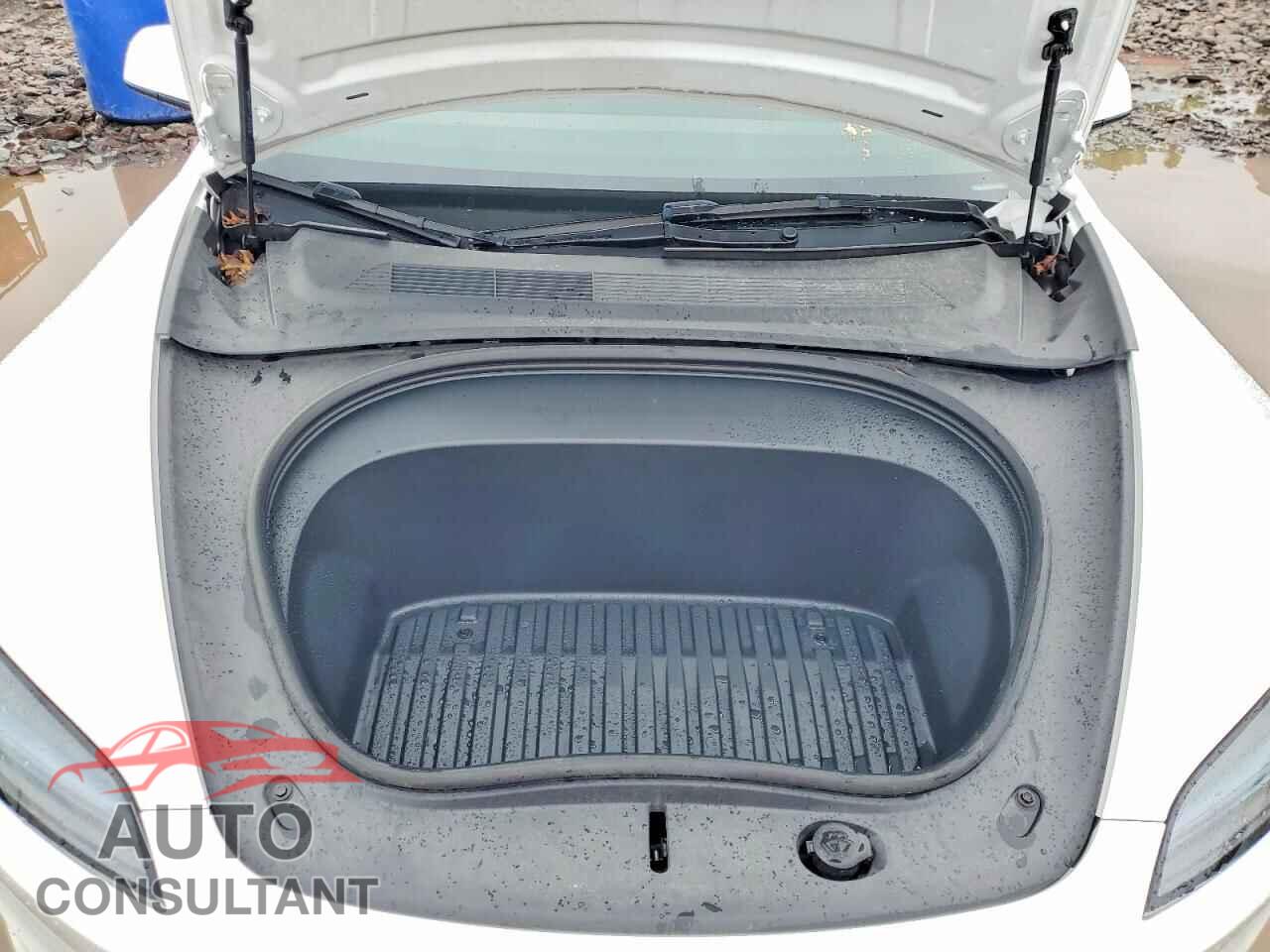 TESLA MODEL 3 2024 - 5YJ3E1EA5RF848881