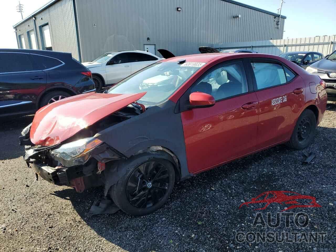 TOYOTA COROLLA 2017 - 2T1BURHE8HC766710
