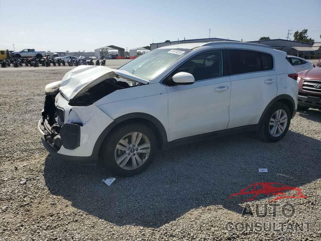 KIA SPORTAGE 2017 - KNDPM3AC3H7299144