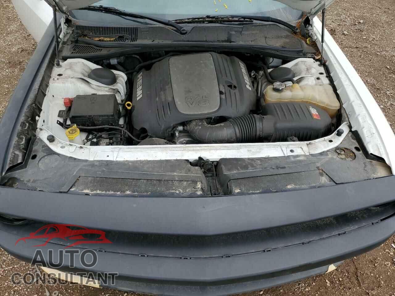 DODGE CHALLENGER 2019 - 2C3CDZBT0KH641858