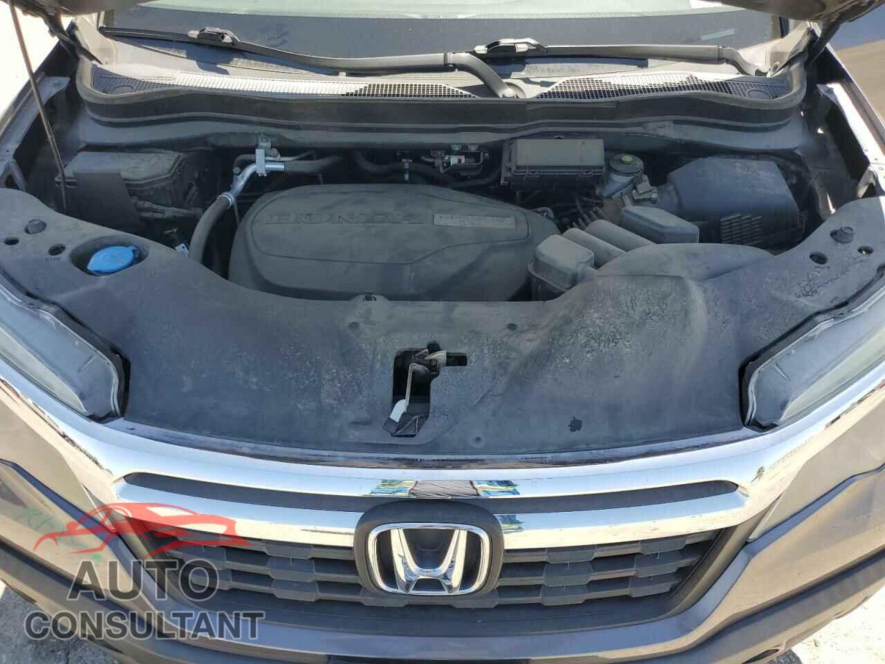 HONDA RIDGELINE 2019 - 5FPYK2F68KB003907