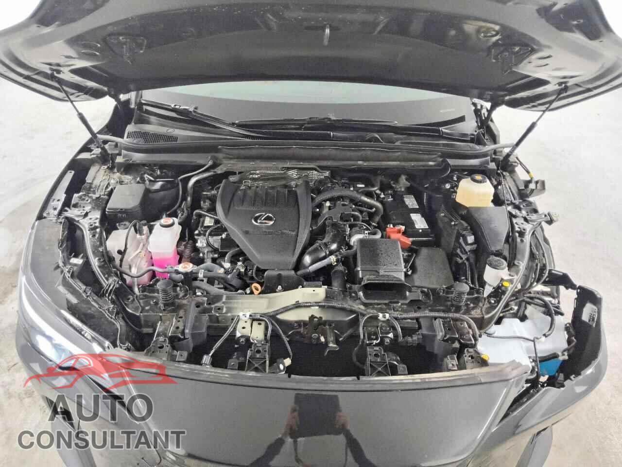 LEXUS RX350 2025 - 2T2BAMBA2SC067531