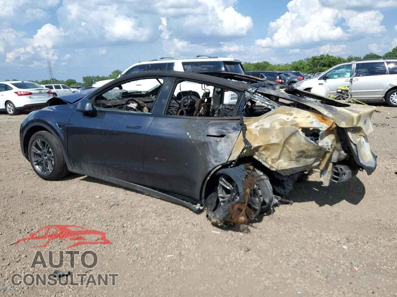 TESLA MODEL Y 2025 - 7SAYGDEE4SF254635