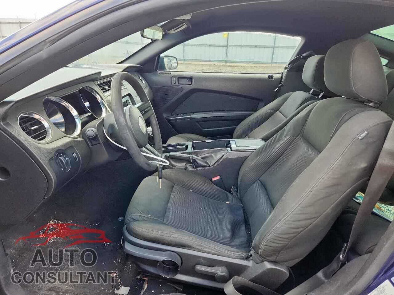 FORD MUSTANG 2010 - 1ZVBP8CH8A5143705