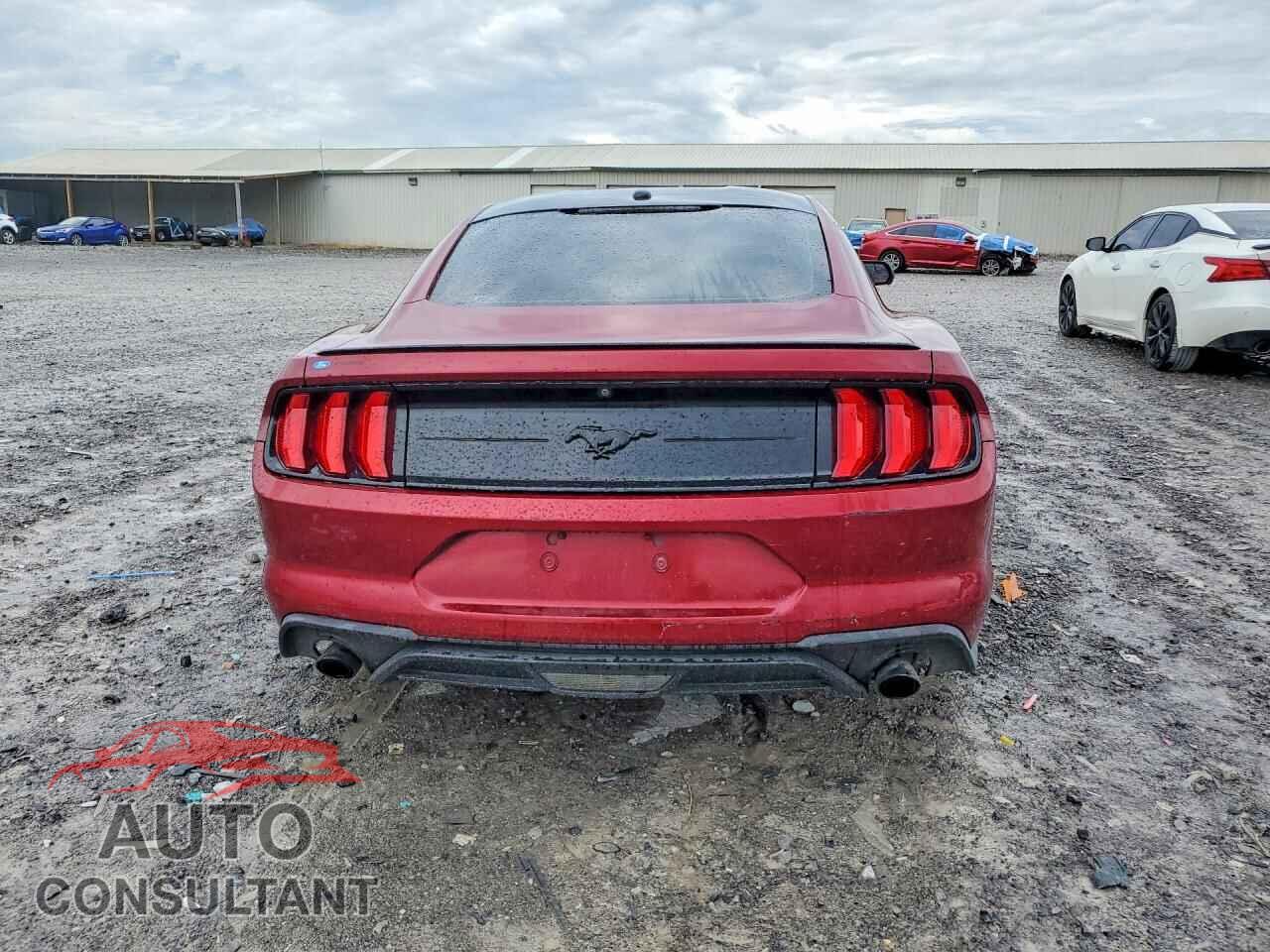 FORD MUSTANG 2019 - 1FA6P8TH4K5196610
