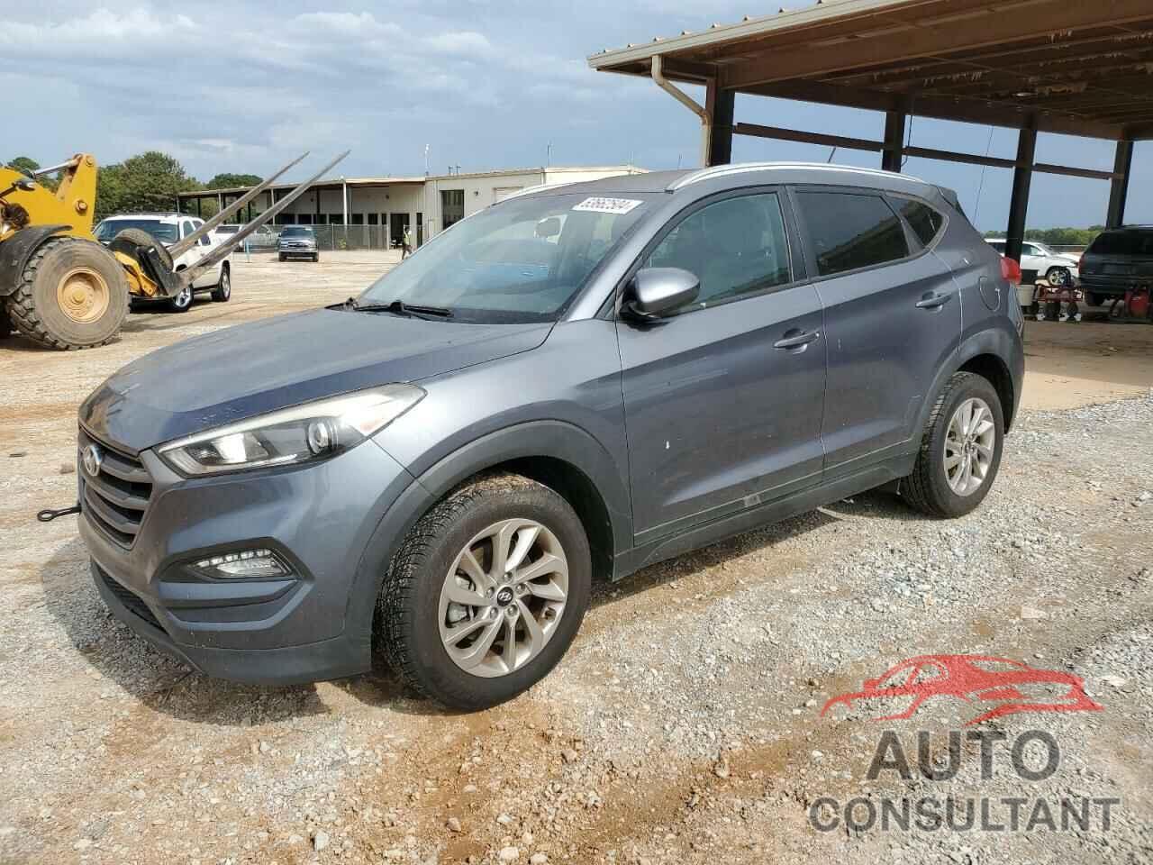 HYUNDAI TUCSON 2016 - KM8J33A49GU115418