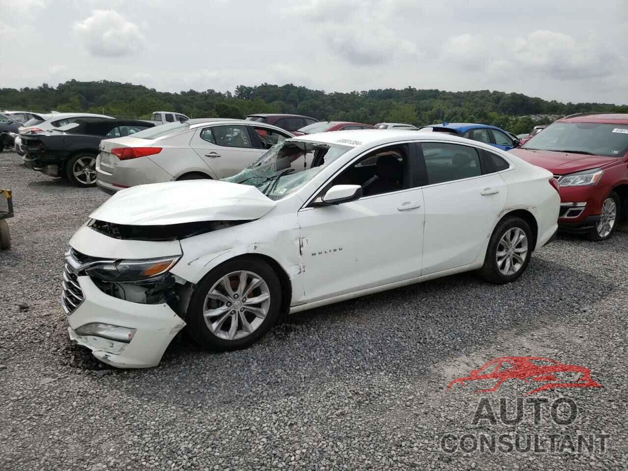 CHEVROLET MALIBU 2019 - 1G1ZD5ST1KF184339